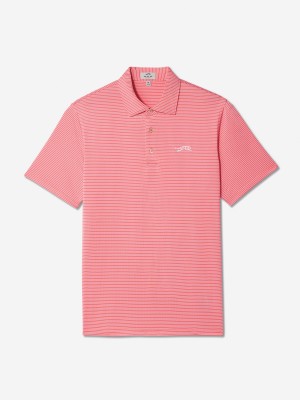 Sun Day Red Classic Stripe Polo Korall | 253407-NBG